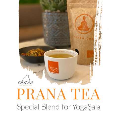 Special Blend for YogaŞala